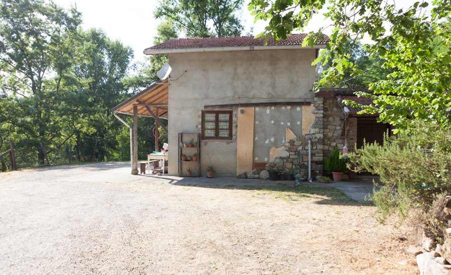 4.Fior-di-Loto