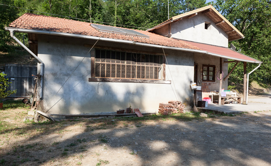 5.Fior-di-Loto