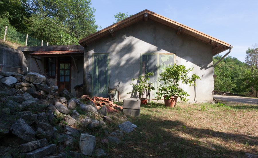 6.Fior-di-Loto
