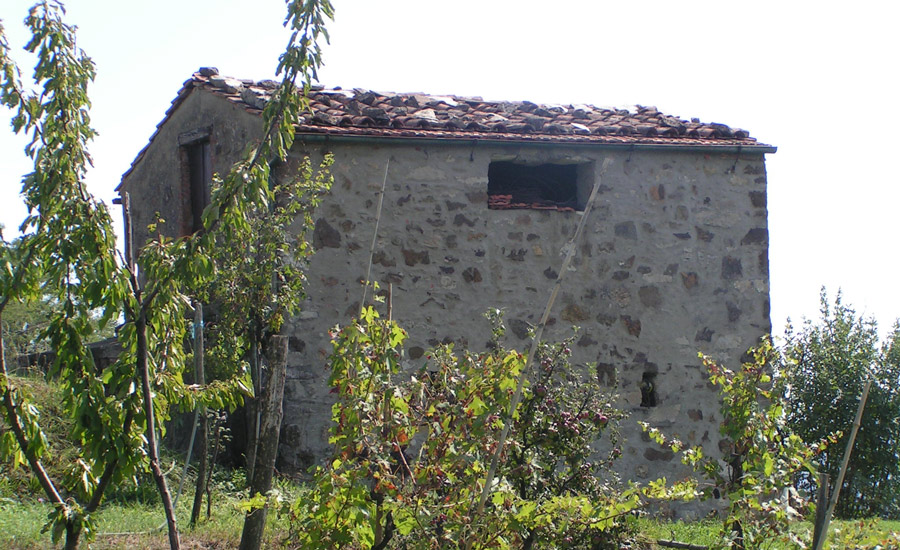 renzo-canale-004