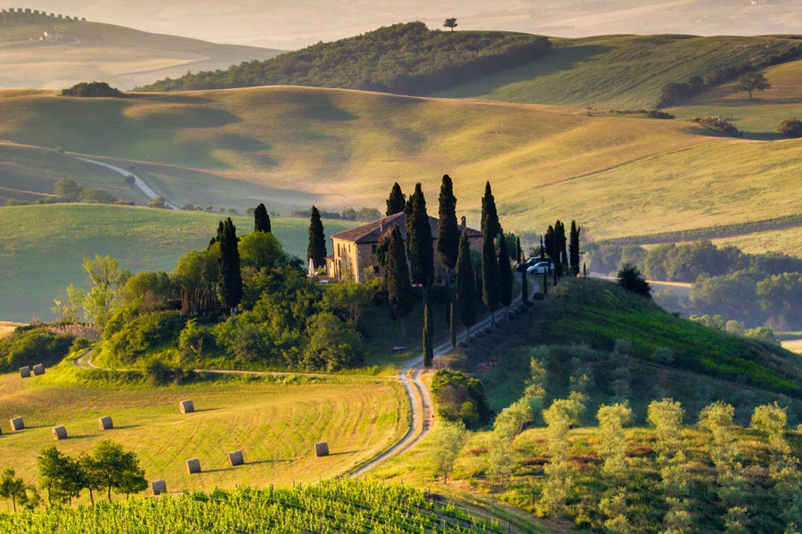 chianti4