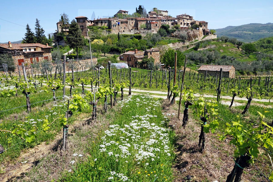 greve_in_chianti