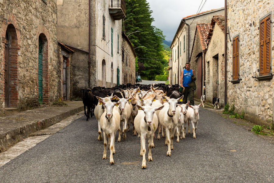 appennino1