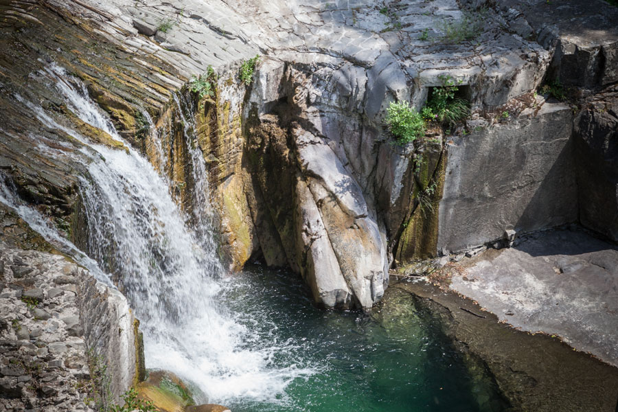 bagnone2