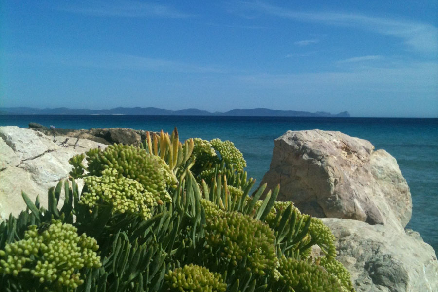 sardegna3